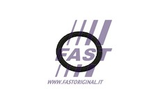 Tesneni, AGR ventil FAST FT50601