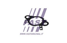 Tesneni, AGR ventil FAST FT50604