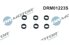 Tesnici krouzek, drzak trysky Dr.Motor Automotive DRM01223S