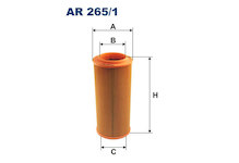 Vzduchový filtr FILTRON AR 265/1