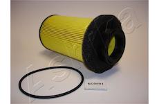 palivovy filtr ASHIKA 30-ECO001